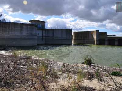 Camminiamo per vari minuti e alla fine della spiaggia incrociamo la �diga del Basentello�. Certo, � solo grazie alla sua presenza che esiste il lago, ma � impossibile non notare il contrasto fra quel �mostro� di cemento e metallo dall�aspetto cos� grigio e sinistro e la vegetazione colorata e lussureggiante